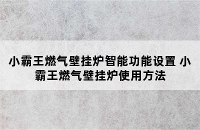 小霸王燃气壁挂炉智能功能设置 小霸王燃气壁挂炉使用方法